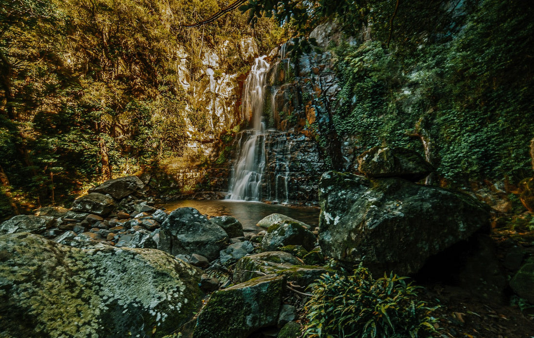 Minnamurra Falls