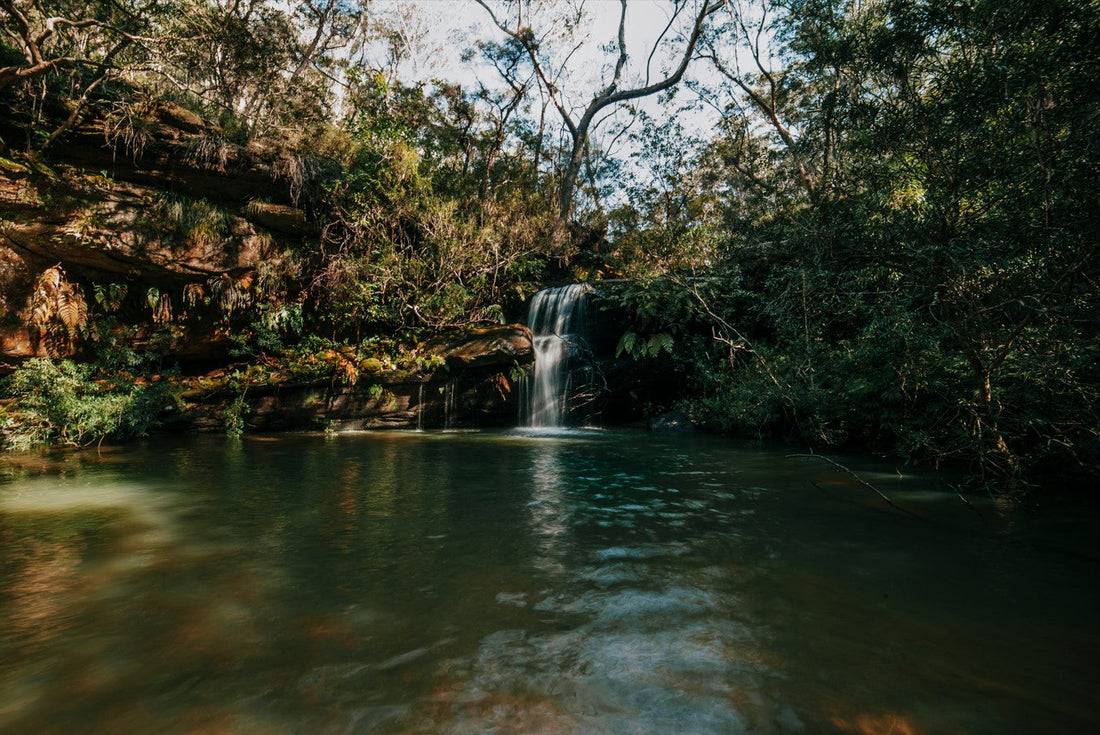 Turtle Falls