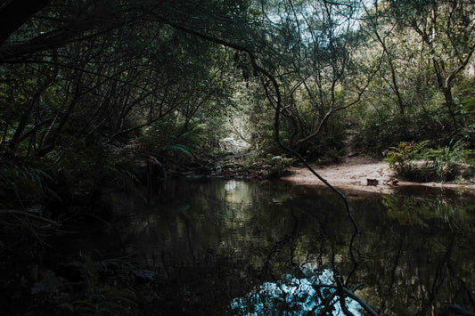 How Hikers Can help with Conservation in NSW