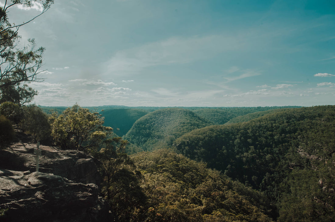 Martins Lookout to Lost World Lookout