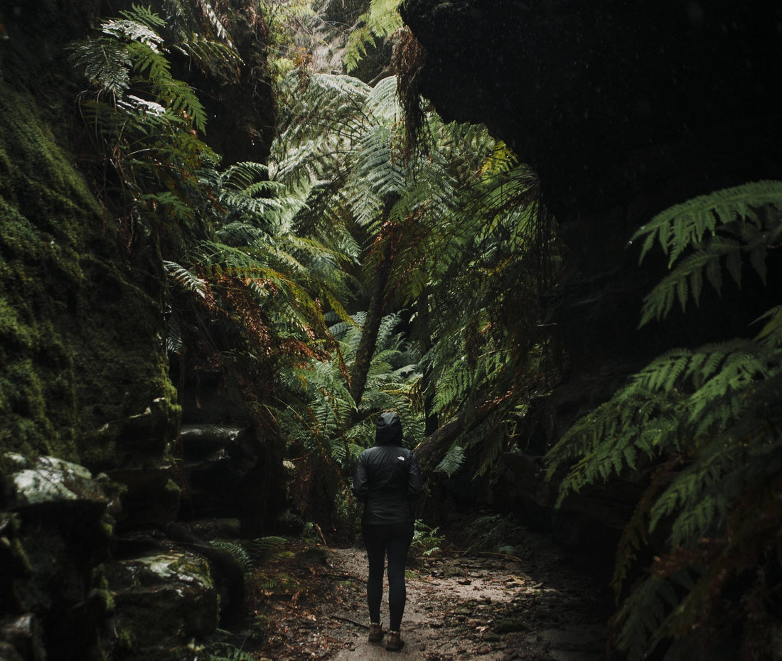 Hiking Responsibly After Heavy Rain