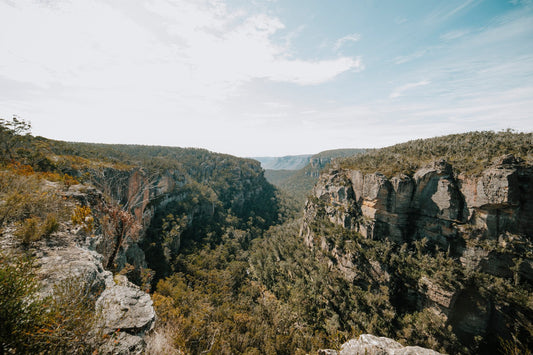 Broad Swamp to Birds Rock