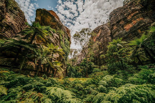 Valley of the Dinosaurs