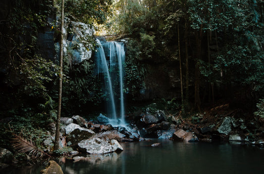 Curtis Falls