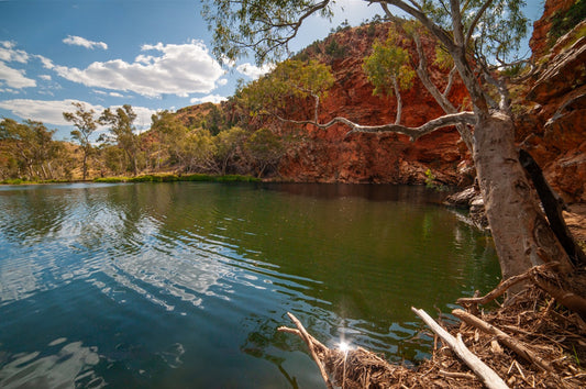 Ellery Creek Big Hole