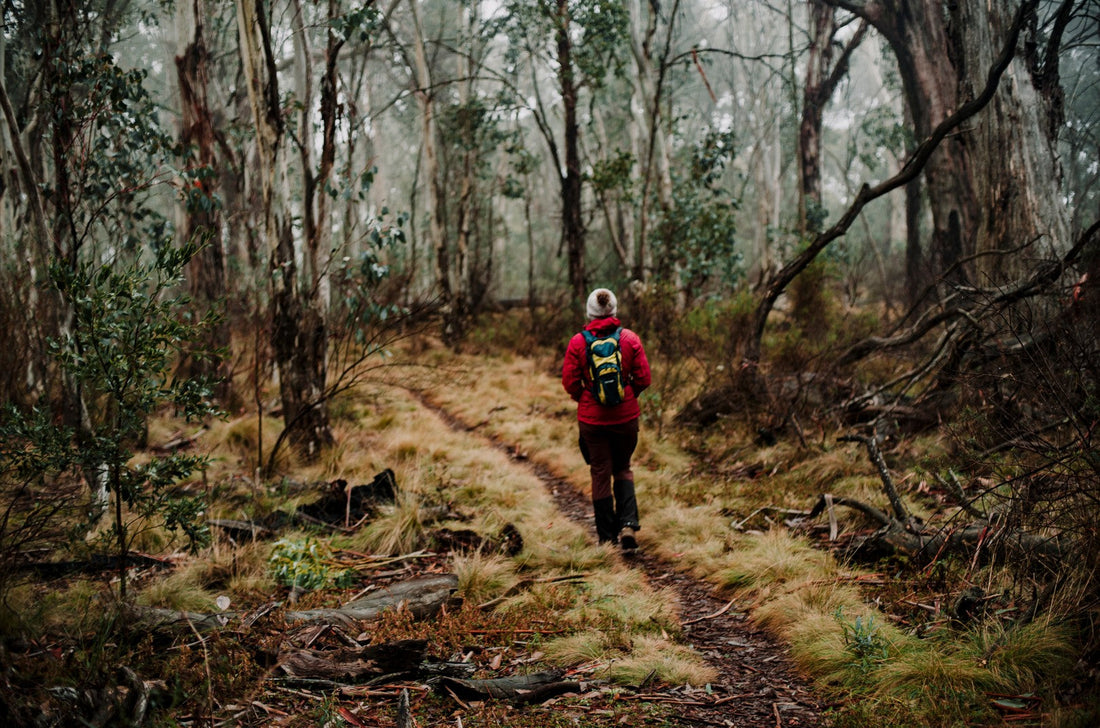 How to Stay Warm on a Winter hike