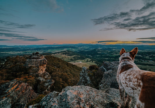 Hassans Walls and Zig Zag Railway