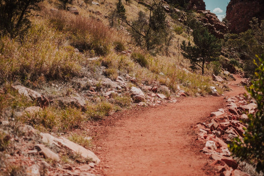 How to Prepare for a Desert Hiking Trip