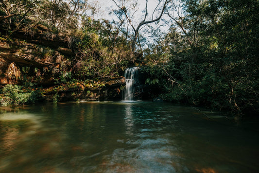 Turtle Falls