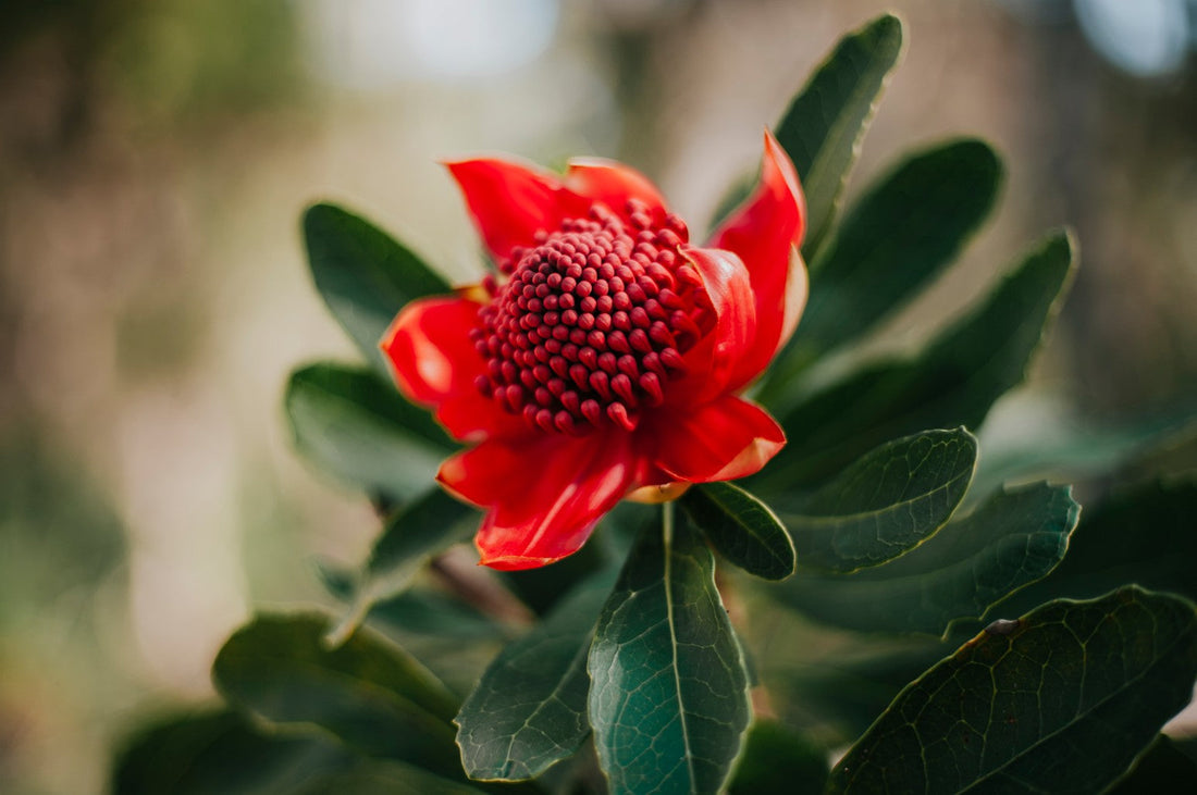 Foraging on the Trail