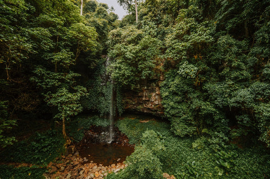 Crystal Shower Falls