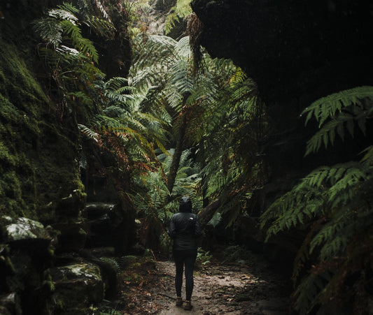 Hiking Responsibly After Heavy Rain