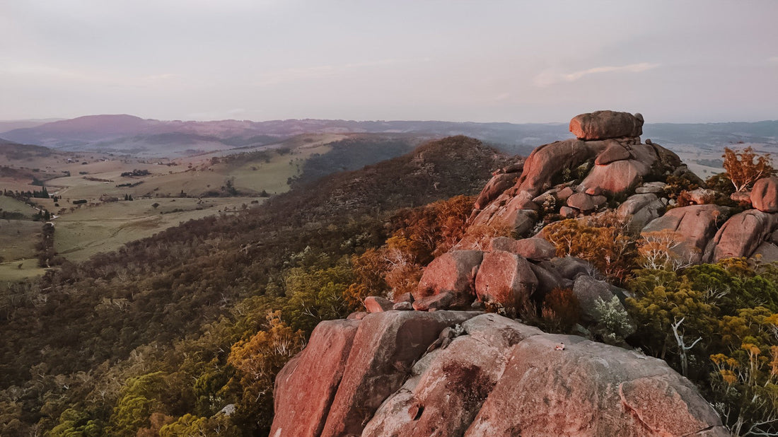 More Than Just a View