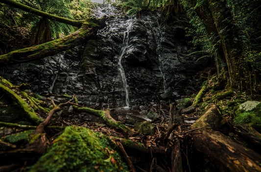 Waterfall Reserve