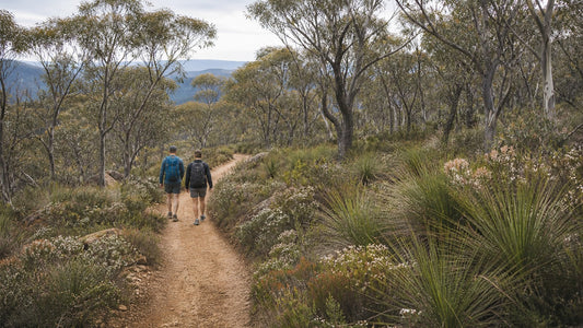 Why You Should Stay on the Trail